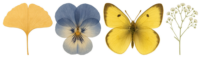 Obraz premium Vintage botanical illustrations with elegance