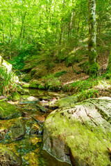 Stream landscape in the Haut Languedoc region of southern France. Small waterfalls and water running through the forests of Hérault.
