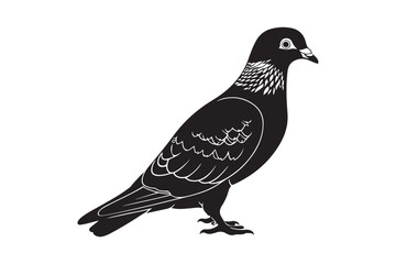 Obraz premium Detailed black and white silhouette of a pigeon