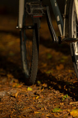 A close-up view of a bicycle wheel resting on a path covered in autumn leaves, showcasing the textures and colors of nature.