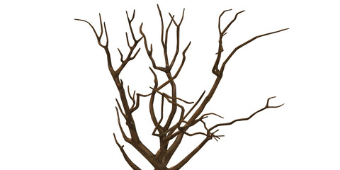 3D Render bare Tree isolated on a Transparent Background