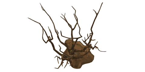 3D Render bare Tree isolated on a Transparent Background