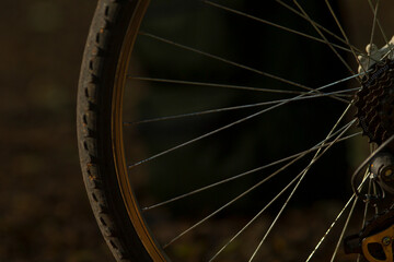 Fototapeta premium A detailed close-up of a bicycle wheel showcasing its tire, spokes, and cassette against a blurred outdoor background, perfect for cycling enthusiasts.