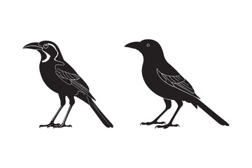 Two black birds silhouette standing side by side