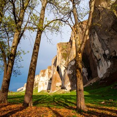 Ancient Fortress Ruins on a Sunny Day with Trees in the Foreground.