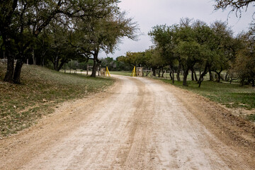 Dirt Road Through Tree Lined Property 
