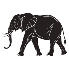 Fototapeta premium Elephant walking
