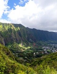 Naklejka premium Lush valley view from a mountain peak