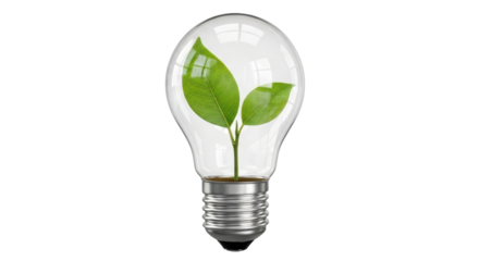 Isolated Lightbulb with Plant Inside