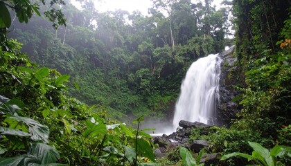 Obraz premium Lush Rainforest Waterfall with Soft Mist and Gentle Shadows