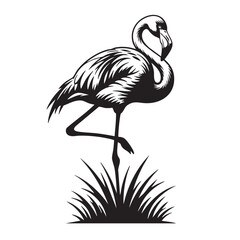 Fototapeta premium Black Silhouette of a Flamingo Standing on One Leg in Tall Grass on White Background bird animal