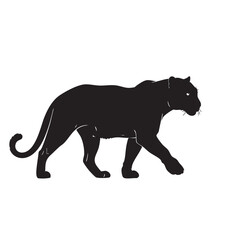 Obraz premium Black silhouette of a panther walking gracefully on a white background jaguar leopard