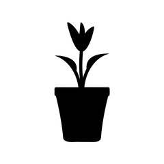 Obraz premium A black flower in a black pot against a white background