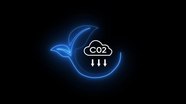 Businessman shows virtual leaf icon with CO2 icon. Net zero blue house gas emissions target. Reduce CO2, cyan business using environmentally renewable energy. change, weather concept. 4k video