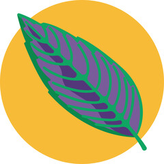 Glossy rubber plant leaf with vibrant green tones.