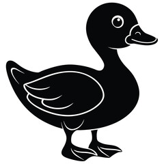 baby duck vector illustration