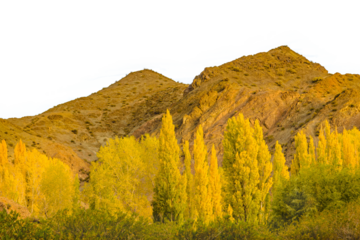 Meadow and mountains landscape isolated photo