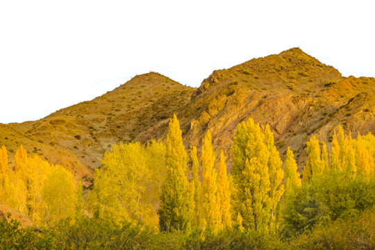 Meadow and mountains landscape isolated photo