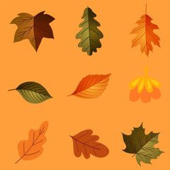 Autumn background and frame made of leaves, branches, berries, acorns and mushrooms in vector. Flat style.