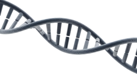 Isolated DNA Strand Molecule
