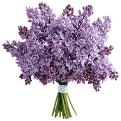 Obraz premium Lilac Flowers bouquet isolated on transparent background