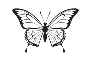 Butterfly best icon vactor image.eps