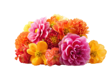 Bright mixed dahlias bouquet on transparent background