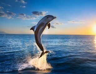 Fototapeta premium dolphin jumping out of water