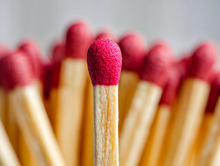 Close-up of a matchstick with a red-tipped head among multiple matches
