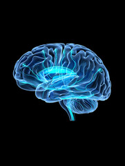 Glowing blue human brain with neural network connections and light particles against a black background, symbolizing intelligence and cognition