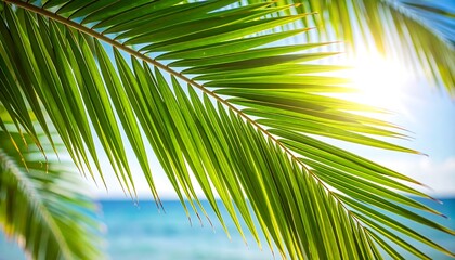Close-up of vibrant palm fronds in bright sunlight over water