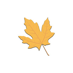 Yellow Maple Leaf Vector Clipart