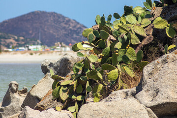 Sardinia Travel and Coastal Landscapes