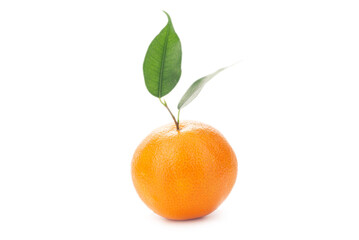 Mandarin orange isolated on white background