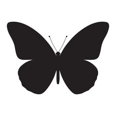 Black Silhouette of a Butterfly with White Background insect