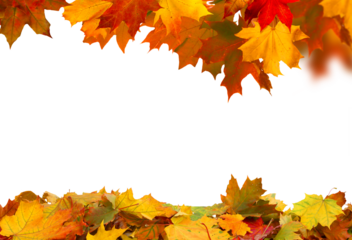 Fall Leaf Border on Transparent Background