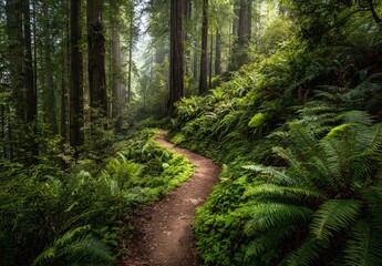 Fototapeta premium Forest Path Through Lush Greenery A Tranquil Journey in Nature's Embrace