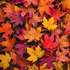 Fototapeta premium Pile of Colorful Autumn Leaves Isolated on White Background