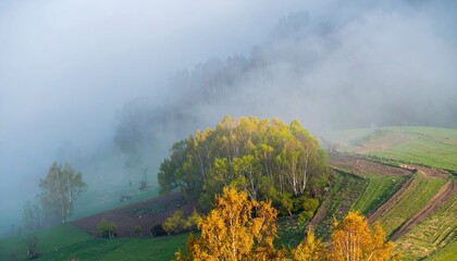 Fototapeta premium Misty Meadow Dawn: Pastel Sunrise Over Rolling Hills
