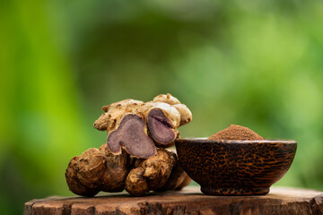 Black galingale or Kaempferia parviflora rhizomes and powder on natural background.
