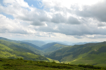 Naklejka premium Scenic view of rolling green hills and mountains under partly cloudy blue sky. The slopes are covered in bright green grass and low-lying shrubs. A distant peak is visible on the horizon. Carpathians