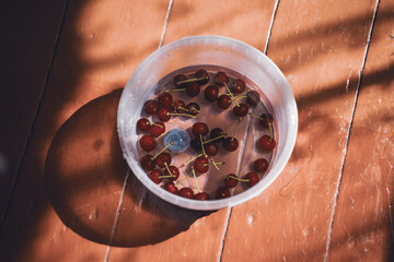 Ripe red cherry and blue plum berries in clear water in plastic jar, sunny summer light and shadow on vintage old terracotta painted diagonal floor