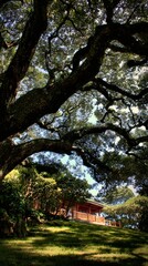 Autumn landscape with trees house and nature in park forest and woods