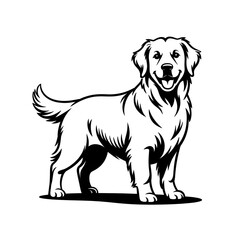 Golden Retriever Standing &ndash; Black and White Line Drawing Illustration"