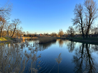 Tranquil landscape featuring a serene lake reflecting trees and blue sky, surrounded by lush greenery and tall grasses, creating a peaceful natural environment