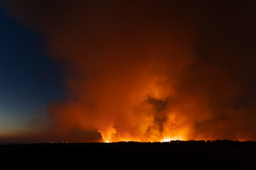 Fire in national park forest, Albania Vlore, Narta lagoon, forest burning