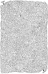 Challenge your mind with this intricate maze puzzle from start to finish for problem solving fun