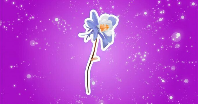 At start flower rotating clockwise while sparkles drifting and flare appearing forming magic aura