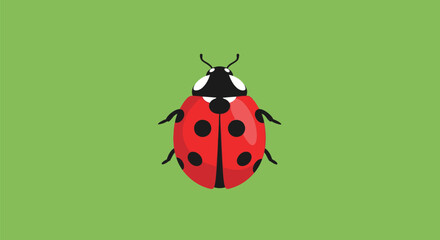 Illustrative Red Ladybug Insect with Black Spots on Green.