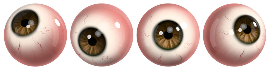 Realistic eyeballs set with brown pupils from different angles. 3D rendering.
